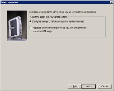 Select the Configure a single USB key to Copy or to Update firmware option, and then click Next