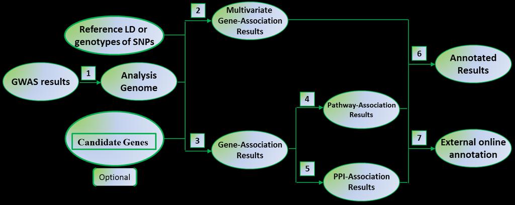 (http://jjwanglab.org/gwasrap), genes (GeneCards, http://www.genecards.org/) and pathways (MsigDB, http://www.broadinstitute.org/gsea/msigdb).