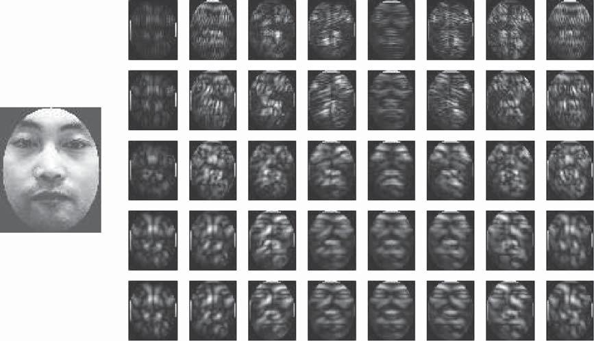 learning again, the dimensionality of the depth Gabor images is reduced to 206, and the dimensionality of the intensity Gabor images is reduced to 201.