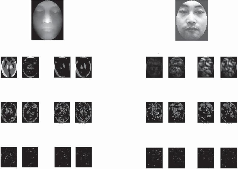 1900 C. Xu et al. / Pattern Recognition 42 (2009) 1895 -- 1905 Depth image Intensity image 5,948*40 27,498...... 5,948 5,948 5,948 5,948 5,948 5,948 5,948 5,948 Sub-sampling with LDA.