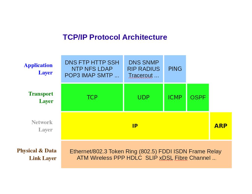 TCP/IP Protocal