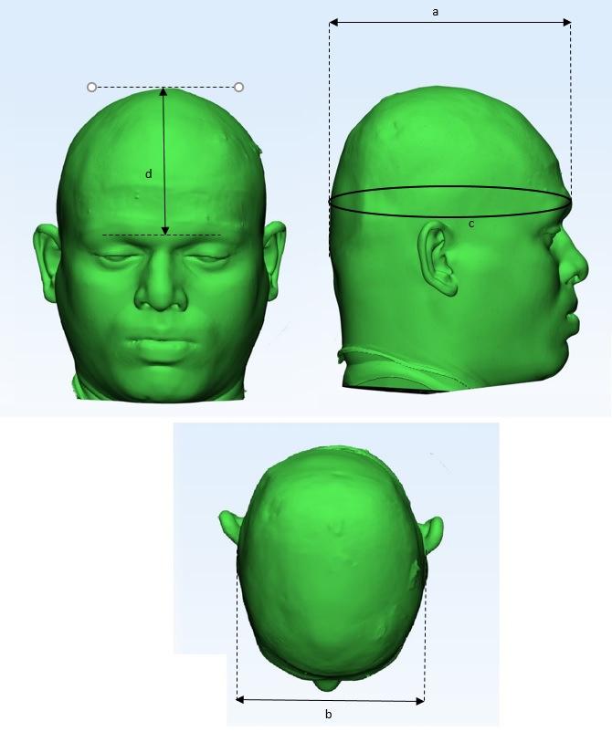 head width, c -head and d - anterior of head (distance between top of the head to the naison) in