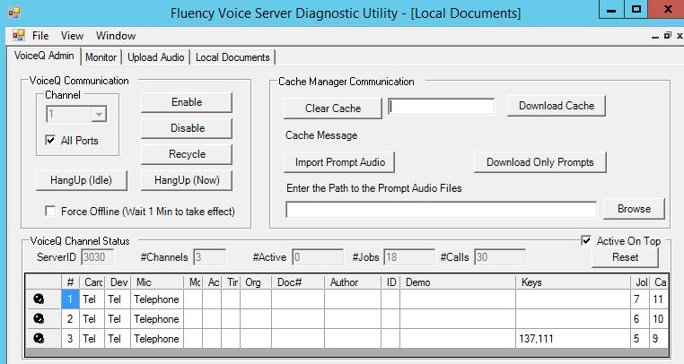 8.3. Verify MModal FVS On Fluency Voice Server launch Fluency Voice Server Diagnostic Utility