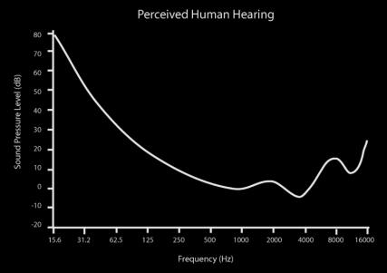 Perceptual coding MP3 Exploit flaws in the human