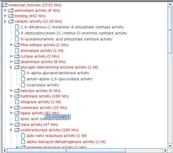 4.2. GOTAXEXPLORER 37 Figure 4.3: Window with the 2D view on the hierarchies. All three ontologies and the taxonomic tree are shown simultaneously. Figure 4.4: 2D view of the molecular function ontology showing results from a selection of GO terms.