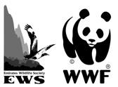 JOIN THE GREEN PANDA facebook.com/ews.wwf @ews_wwf @ews_wwf youtube.