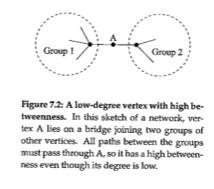 Betweenness Centrality We may redefine n st i to be the number of geodesic paths from s to t that pass through vertex i, and define g st to be the total number of geodesic paths from s to t.