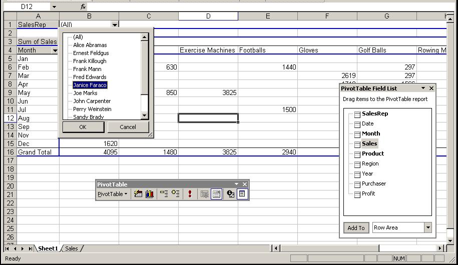 Excel 2003: Level 3 Lesson 9 - Creating/Revising PivotTables SELECTING A PAGE FIELD ITEM Discussion Page fields allow you to filter the PivotTable report by displaying only the data for a specific