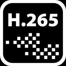 H.265+ Supreme Compression 24-hour File Size