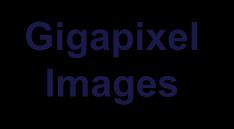 LEAST Terabytes of Vis Gigapixel Images