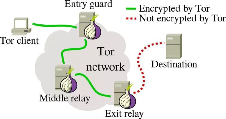 The Tor Design Each user runs local software called Onion Proxy(OP) that is responsible for Fetching OR directories, establishing circuits, handling connections from applications Onion router (OR)