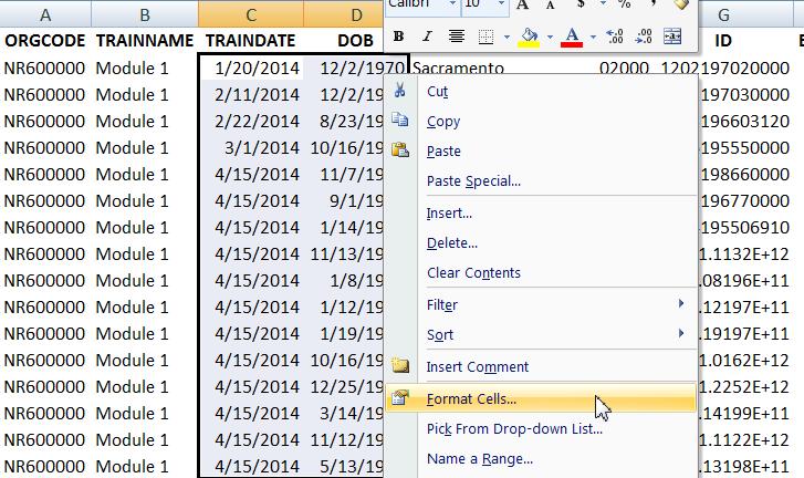 5. Once the Excel document opens, you may find that data in certain columns displays as ####. This means that that the column isn t wide enough to display all the data it contains.