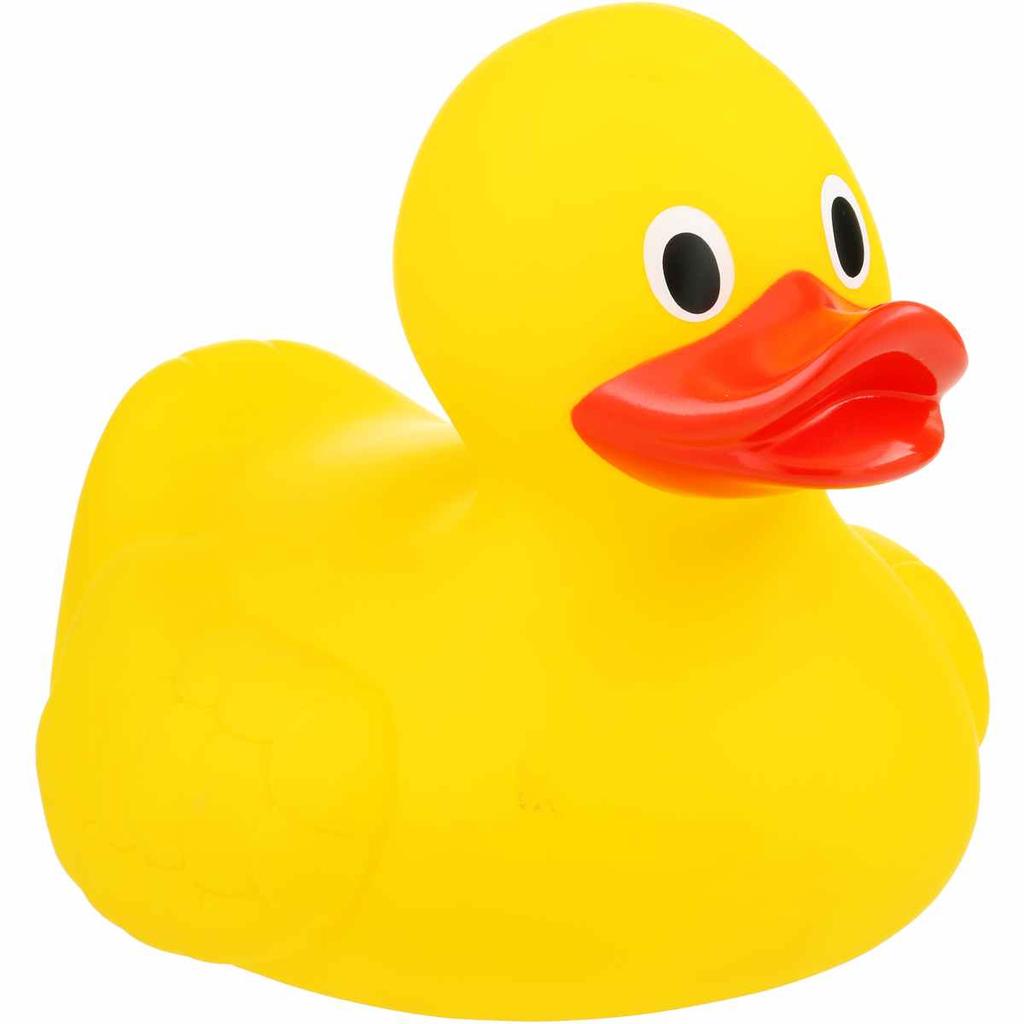 Python Typing Mechanism Duck typing If it walks like a