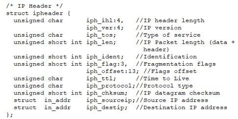 Processing IP Packet *packet