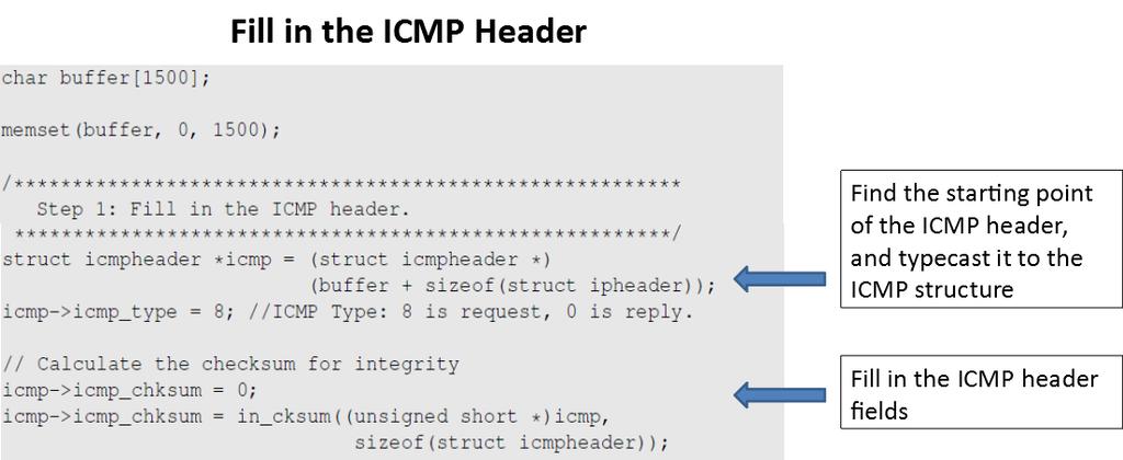 Constructing an ICMP Ping Packet