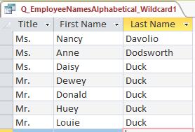 this query as Q_EmployeeNamesAlphabetical_BuenaVista Wildcards Wildcards take the place of one or more characters in the query s criteria *