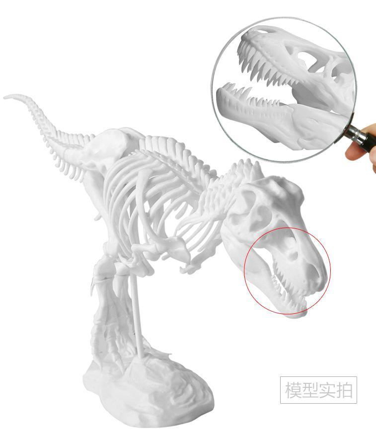 number of dinosaurs, phantom 3D printer can easily