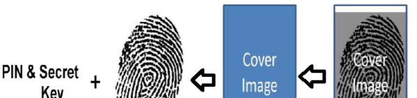 6) The registered user login to the system for voting by entering PIN and secrete key with thumb impression.