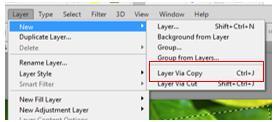 Copy the selection to it s own layer: LAYER, NEW, LAYER
