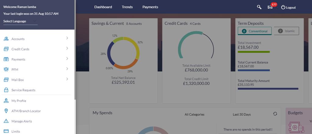 Dashboard based on categories. Filter 2: Periodic search options available to the user. User can view the spending patterns of the current month, last 30 days, last 60 days or last 90 days.