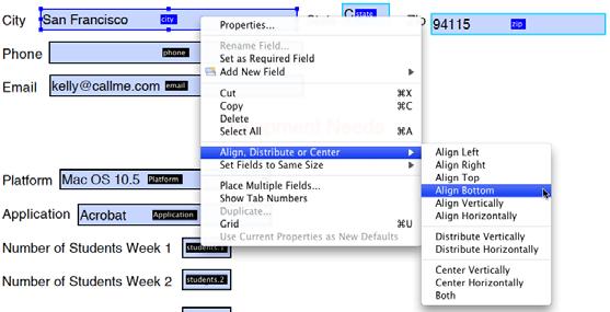 Alignment Options Once you have created your form, you may want to size or align the fields.