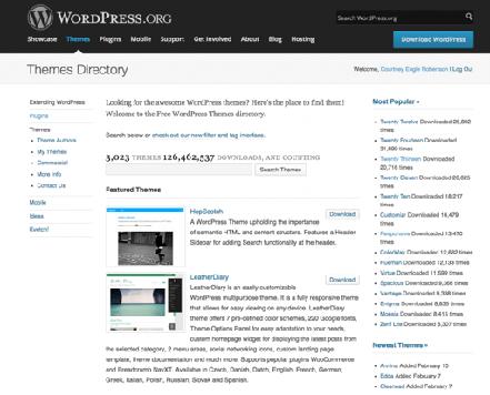 Themes # One of the things that makes a content management system like WordPress so useful is that you can change the entire look of your site without losing any of the content.