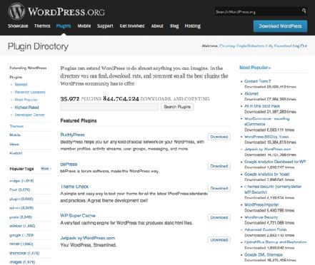 Plugins # Plugins are ways to extend and add to the functionality that already exists in WordPress.