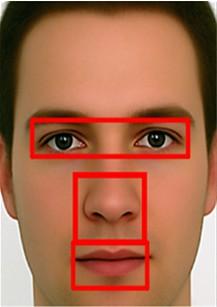 3.4 Adaptive Matching of Local Feature Skin and facial feature are regarded as the most important features in face image, in order to achieve better recognition results, two times template matching