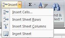 Using Multiple Worksheets INSERTING WORKSHEETS You can insert new worksheets into a workbook.