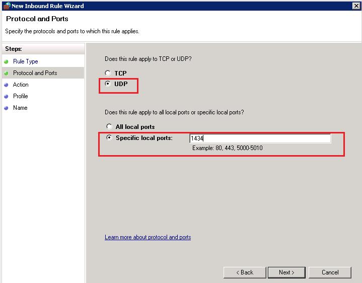 Select the UDP protocol and in the Specific local ports enter port