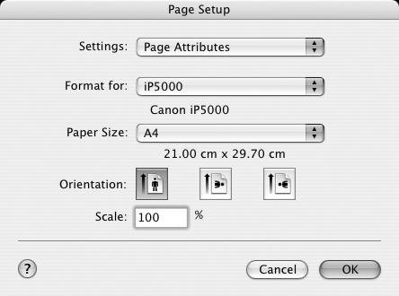 Page Setup From the Page Setup dialog box, specify the Paper Size settings. Select the paper size to be used.