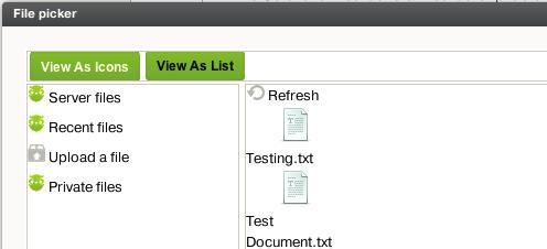 the assignments section. Click the green Choose A File button in the Upload a File section.