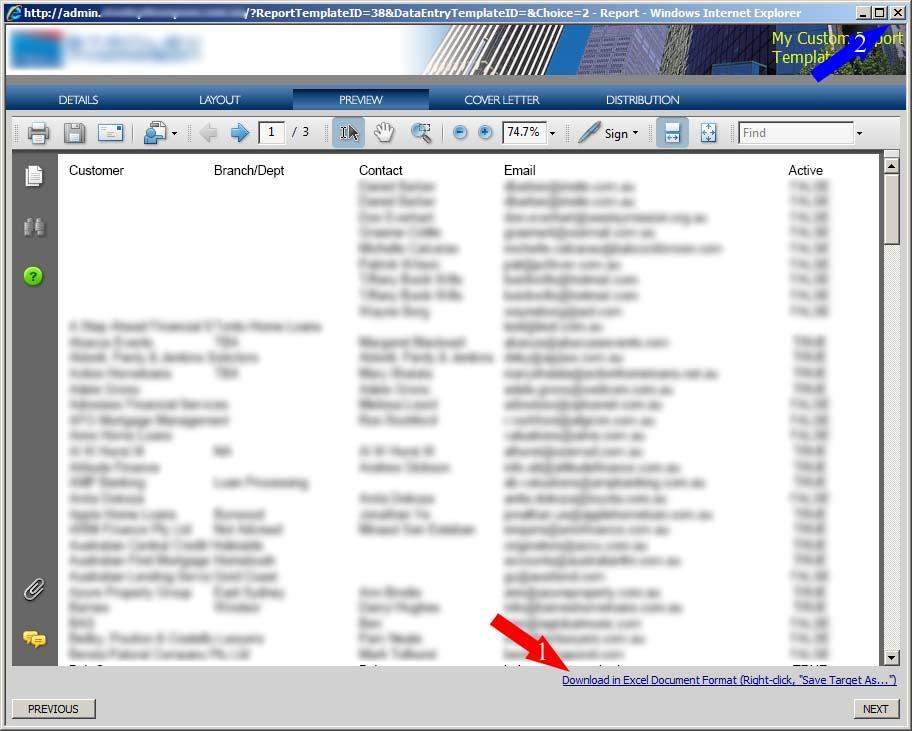 14. Custom Report screen (Preview tab) 1. Notice the Download in Excel Document Format link.