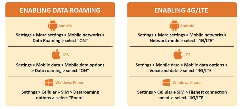 ❸ Activate data roaming and 4G/LTE connection in your settings ❹ You can now surf the web!