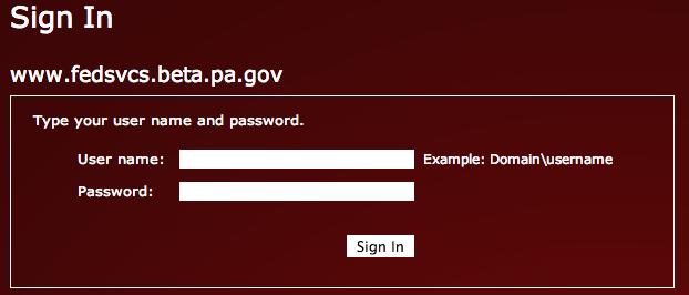 Enter your credentials (CWOPA\username, password) Select 'Sign In'.