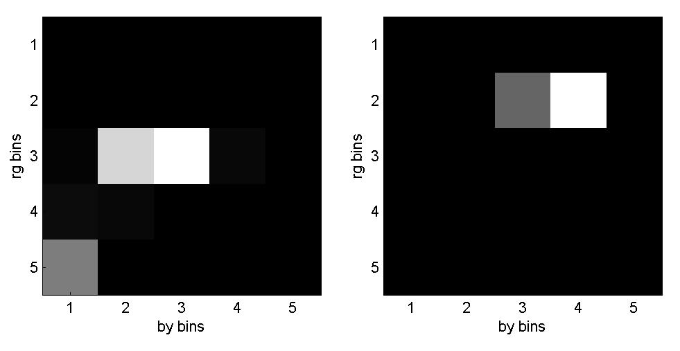 Figure 3.4: Two dimensional histograms for the true (left) and false (right) positive bounding boxes shown in Figure 3.3. Brighter gray means high proportion of bounding boxes pixels in the respective bin.