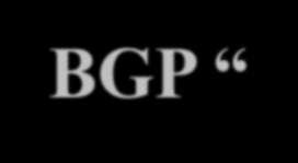 BGP Session Border router Internal router
