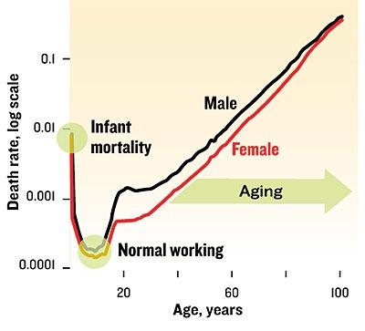 Other Bathtub Curves Human Mortality Rates (US, 1999) From: L. Gavrilov & N.
