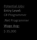 Net Programmer Wage Avg: $ 35,000 Potential Jobs: Entry Level: Jr.