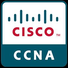 YEAR 2 YEAR 1 Starting Salary Ranges $40k $80k Starting Salary Ranges $20k $40k IT Network Specialist Pathways Cisco Networking Cloud