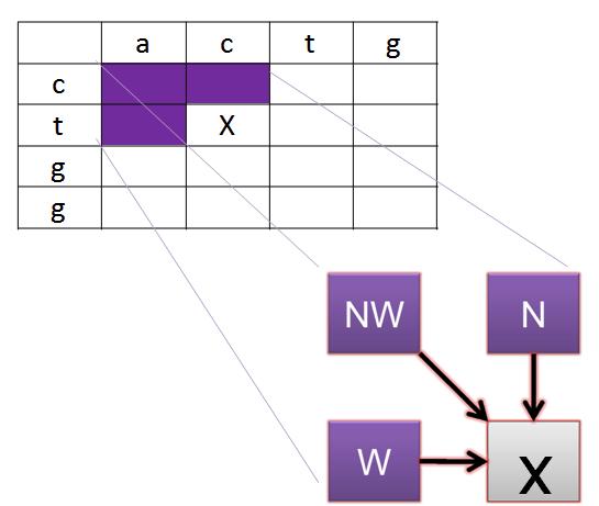 Figure 1. (A) An example use of pairwise alignment. (B) The cycle of computing multiple sequence alignment using ProbCons [1]. (C) The simplified phylogenetic process.