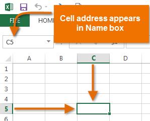 The cell address will also appear in the NAME box.