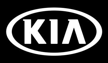 Kia is requesting the completion of this Service Action on all affected vehicles. Before conducting the procedure, verify that the vehicle is included in the list of the affected VINs.