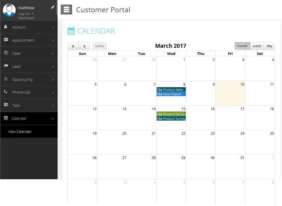 Calendar Page: You can view Calls, Appointments and Tasks
