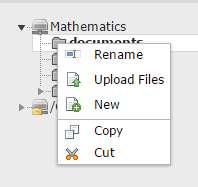 Click on Upload Files in the flyout menu. If uploading a new version of a file select Overwrite existing files.