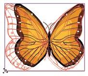 Understanding the Free Transform Tool ILLUSTRATOR FOUNDATIONS The Free Transform tool allows you to change the