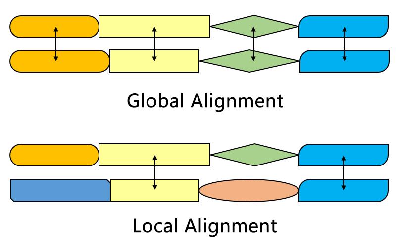 Local vs Global Alignment Picture from Wikipedia (By Yz cs5160 - Own work, CC BY-SA 4.