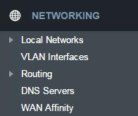 NETWORKING Local Networks VLAN Interfaces Routing DNS Servers WAN Affinity LOCAL NETWORKS ETHERNET PORTS The CBA850 has two Ethernet ports for local network connections.