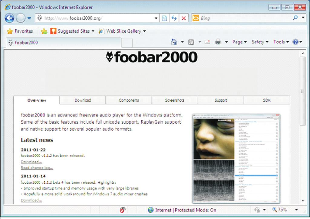 10. Foobar2000 ASIO installation 1. Enter into the website: http://www.