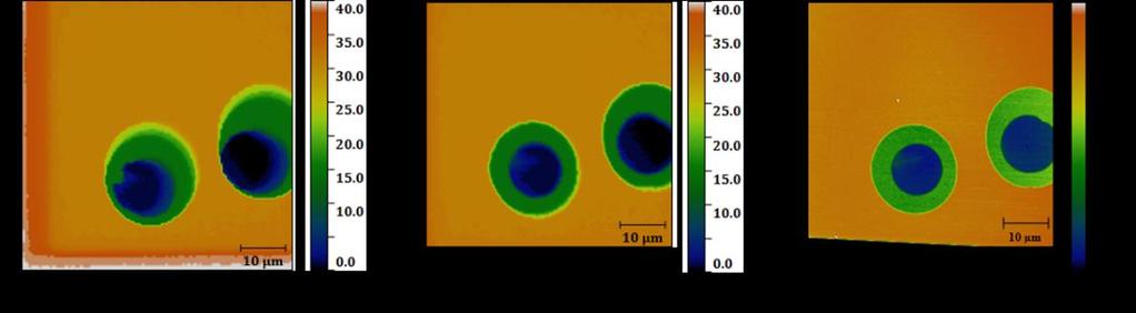 (c) Correlative image of ToF-SIMS mapping with AFM topography.